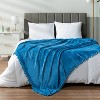 PAVILIA Fleece Pom Pom Blanket Throw for Sofa Bed, Soft Lightweight Pompom Fringe Blanket for Couch - 4 of 4