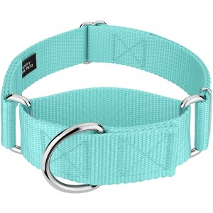 Country Brook Petz 1 1/2 Inch Martingale Heavyduty Nylon Dog Collar - 1 of 4