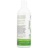 Beauty Without Cruelty Rosemary Mint Tea Tree Hair & Scalp Treatment - 16 oz - 3 of 4