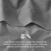 DOZ 100% GOTS Organic Percale Duvet Cover Set, Crisp Cool, Long Staple, Breathable, Durable, 8 Loops - image 2 of 4