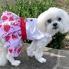 Doggie Design Strawberry Picnic Dog Dress with Matching Leash - image 2 of 4