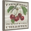 Amanti Art Farm Fresh Cherries by Sue Schlabach Canvas Wall Art Print Framed 16-in. x 16-in. - 3 of 4