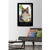 Trends International Grumpy Cat - The Brighter Side Unframed Wall Poster Prints - 2 of 4