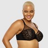 Paramour Women's Plus Size Lotus Embroidered Unlined Bra - Rose Tan 42c :  Target