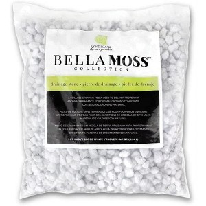 Syndicate Home and Garden Bella Moss Terrarium Pumice Hydro Stones, 1 Quart Bag - 1 of 1