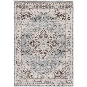 Antique Patina ANP644 Power Loomed Indoor Rugs - Safavieh - 1 of 4