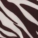 zebra stripe - brown