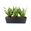 Okak Vertical Succulent & Orchid Pots with Drainage Holes Space Saving Planters for Indoor/Outdoor, 2 Pack(S+M) - 2 of 4