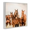 Stupell Industries Horse & Foals Photography, 14" x 11" - 3 of 4