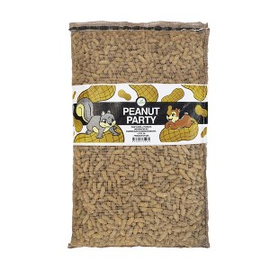 Wildlife Elements Peanut Party Raw In-Shell Peanuts Wildlife Animal Food - 1 of 4
