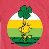 Boys' - Peanuts - Woodstock Shamrock Short Sleeve Graphic T-Shirt - 2 of 4