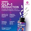 Akkermansia Probiotic Supplement - 2 Billion AFU GLP-1 Supplement with Prebiotic Fiber - Akkermansia Muciniphila GLP-1 Probiotics - 60 Capsules - 4 of 4