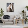 Stupell Industries Silky Haired Horse Canvas Wall Art - 2 of 4