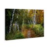 Stupell Industries Walk In The Hemlocks Forest Canvas Art - 2 of 4