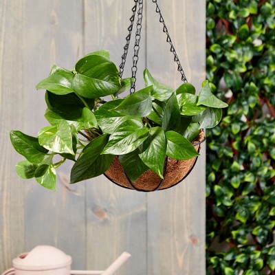 Black Metal Hanging Planter Pots with Coco Liners, 8 x 17.5 inches, Set of 2