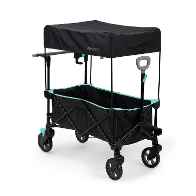 Ingenuity Pop N Ride Wagon Stroller