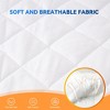 Dexmalle Electric Heating Mattress Cover - 4 of 4