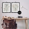 Stupell Industries Delicate Wildflower Herb Sprigs 2pc Floating Frame Art Set - 3 of 4