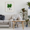 Stupell Industries Vintage Fan Palm Plant Framed Print Under Glass - 3 of 4