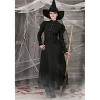 HalloweenCostumes.com Womens Plus Size Witch Costume - 2 of 4