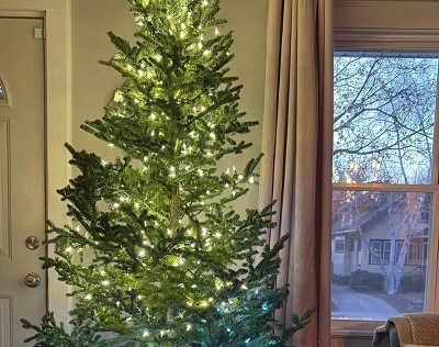 Guest review image 1 of 1, zoom in