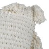 Pulled Knot White 24X24 Hand Woven Filled Pillow - Foreside Home & Garden - 3 of 4