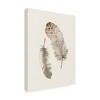 Katrina Pete 'Falling Feathers II' Canvas Art - 2 of 4