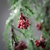 50"H Sullivans Artificial Christmas Cedar Red Berry Draping Spray, Indoor Christmas Decor - 2 of 3