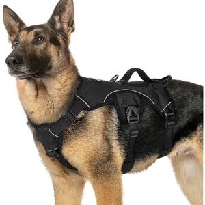 rabbitgoo Escape Proof Dog Harness, Soft Padded Full Body Pet Harness, Reflective Adjustable Walking Hiking Training, XL - 1 of 1