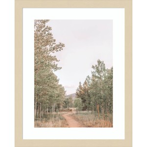 Amanti Art Winding Path by Alicia Abla Wood Framed Wall Art Print - 1 of 4