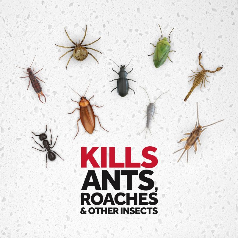 Raid Ant &#38; Roach Kitchen Defense - 22oz, 6 of 10