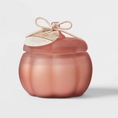 Mini Pumpkin Apple Cider Donut Coral View Candle - Threshold™