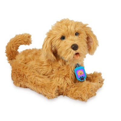 SkyRocket  Moji the Lovable Labradoodle