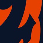 chicago bears