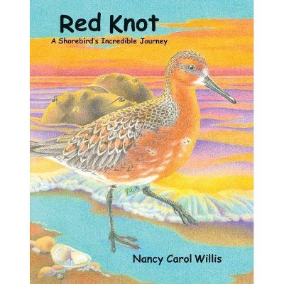 Red Knot - by  Nancy Carol Willis (Paperback)