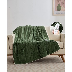 GustoWave Electric Heated Throw Blanket, Velvet Soft Fast Heating Blankets Throw, Machine Washable, Overheat Protection - 1 of 1