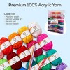 JumblCrafts 24-Yarn Crochet and Knitting Starter Kit with 2 Crochet Hooks and 2 Weaving Needles 24 Assorted Colors Acrylic Yarn Skein - 3 of 4