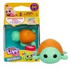NeeDees By Little Live Pets, Electric Miniature Pet Toy, Sandee Turtle, Perfect For Ages 5 & Up, Contains Batteries - 3 of 4