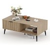 Modern Coffee Table, 41.34” Wooden Coffee Tables with Sliding Door, 2-Tier Open Shelf Storage Center Table for Living Room Home Office - 3 of 4