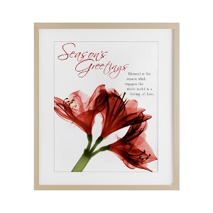 Stupell Industries Season's Greetings Holiday Amaryllis Framed Print Under Glass Art - 1 of 4
