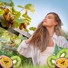 Air Wick Vibrant Scented Oil Air Freshener Refills - Rainforest Kiwi & Passion Fruit - 0.67 fl oz/2ct - 2 of 4
