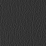 seth freakin rollins