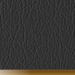 seth freakin rollins