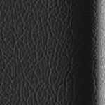 seth freakin rollins