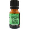Plantlife Marjoram Aromatherapy Essential Oil – 100% Pure, Therapeutic Grade, No Additives or Fillers, 10 ml - 2 of 2