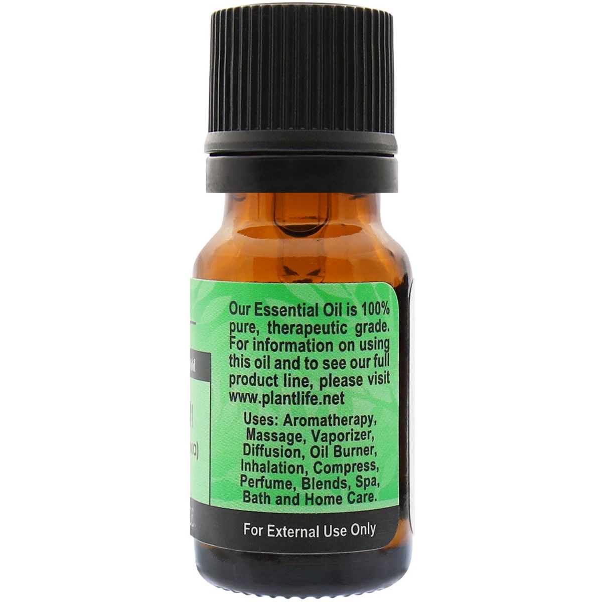 Plantlife Marjoram Aromatherapy Essential Oil – 100% Pure, Therapeutic Grade, No Additives or Fillers, 10 ml - thumbnail 2