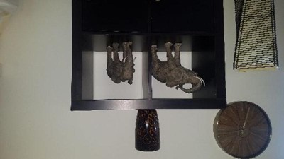 Guest review image 1 of 1, zoom in