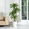 6ft UV & Sunproof Artificial Dracaena Tree for Indoor/Outdoor - Faux Silk Plant in Tall Planter, Tall Faux Tree for Home & Garden Decor - 2 of 4