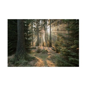 Trademark Fine Art -Vincent Croce 'Rays Part 2' Canvas Art - 1 of 4