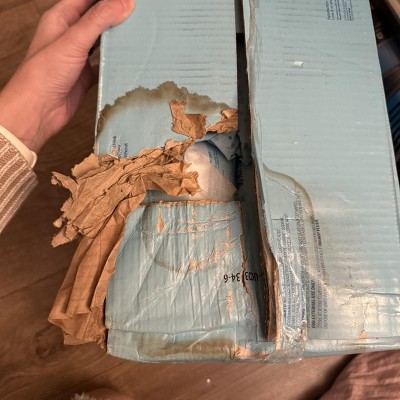 Guest review image 1 of 1, zoom in